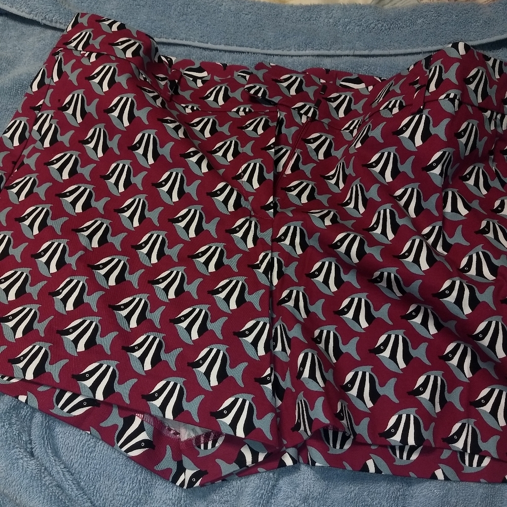 Ladies shorts